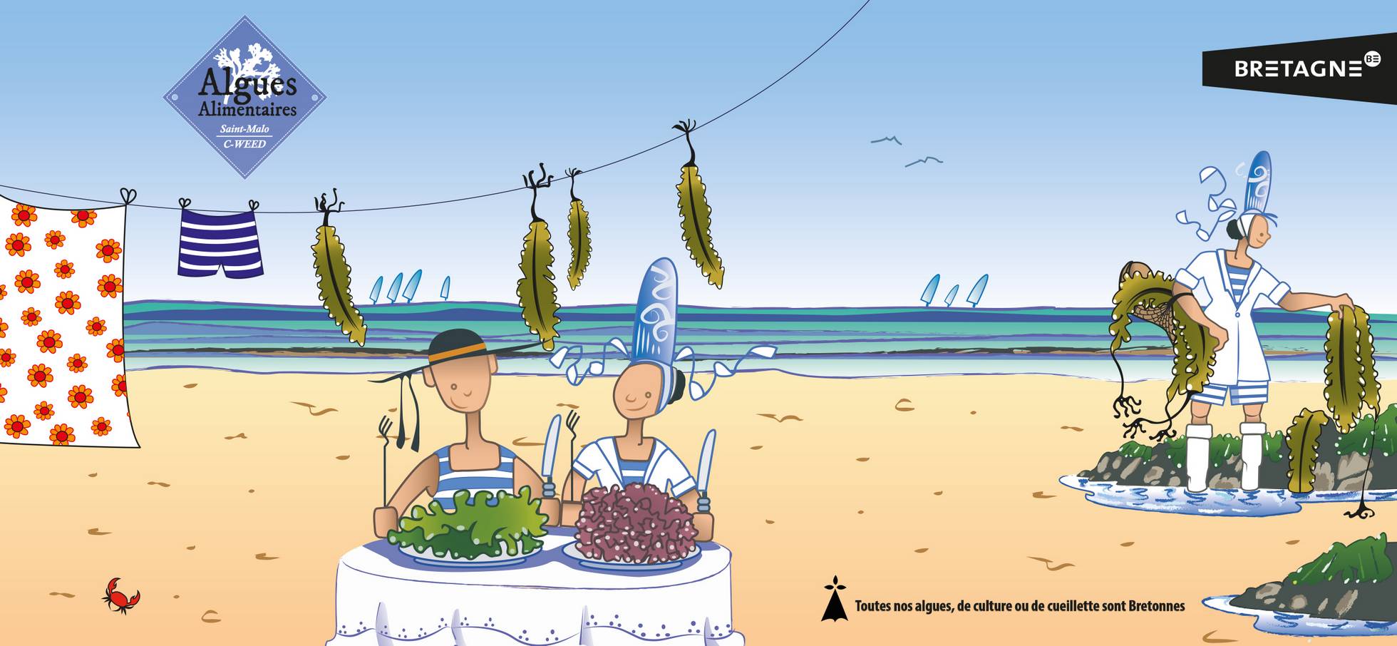 Producteurs d'algues alimentaires biologiques à Saint-Malo