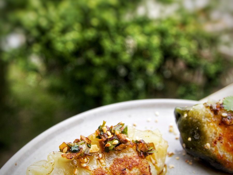 Gyozas parfumés à la Dulse